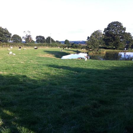 مبيت وإفطار ألفريتون Crich Lane Farm المظهر الخارجي الصورة