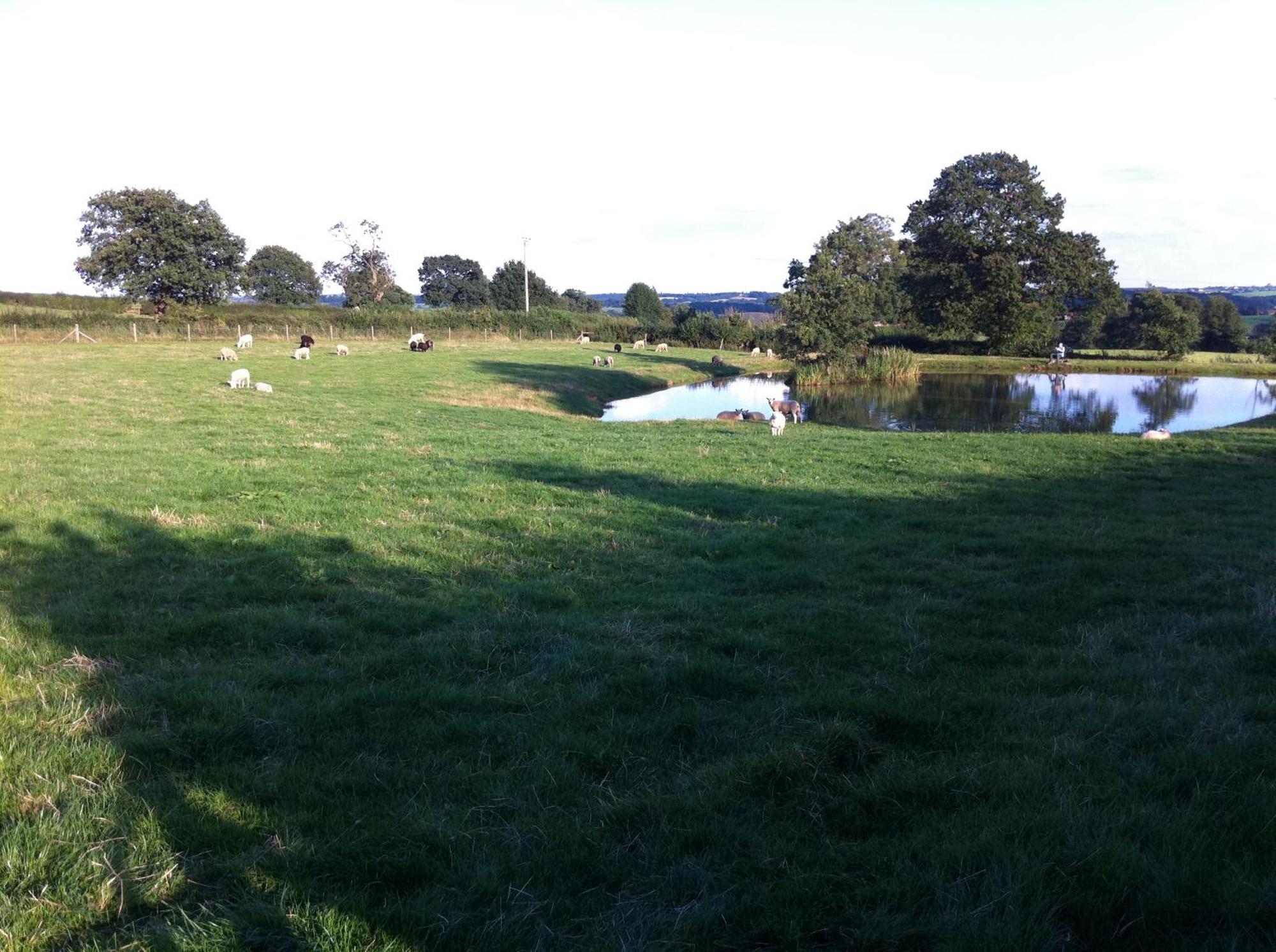 مبيت وإفطار ألفريتون Crich Lane Farm المظهر الخارجي الصورة